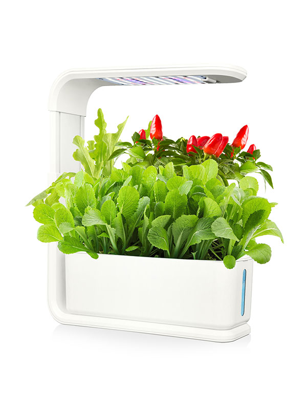 Hydroponics LED Grow córas TL0100008